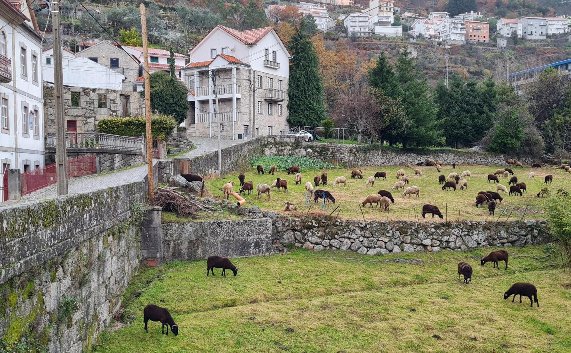 Casa Da Cantareira Loriga Kültér fotó